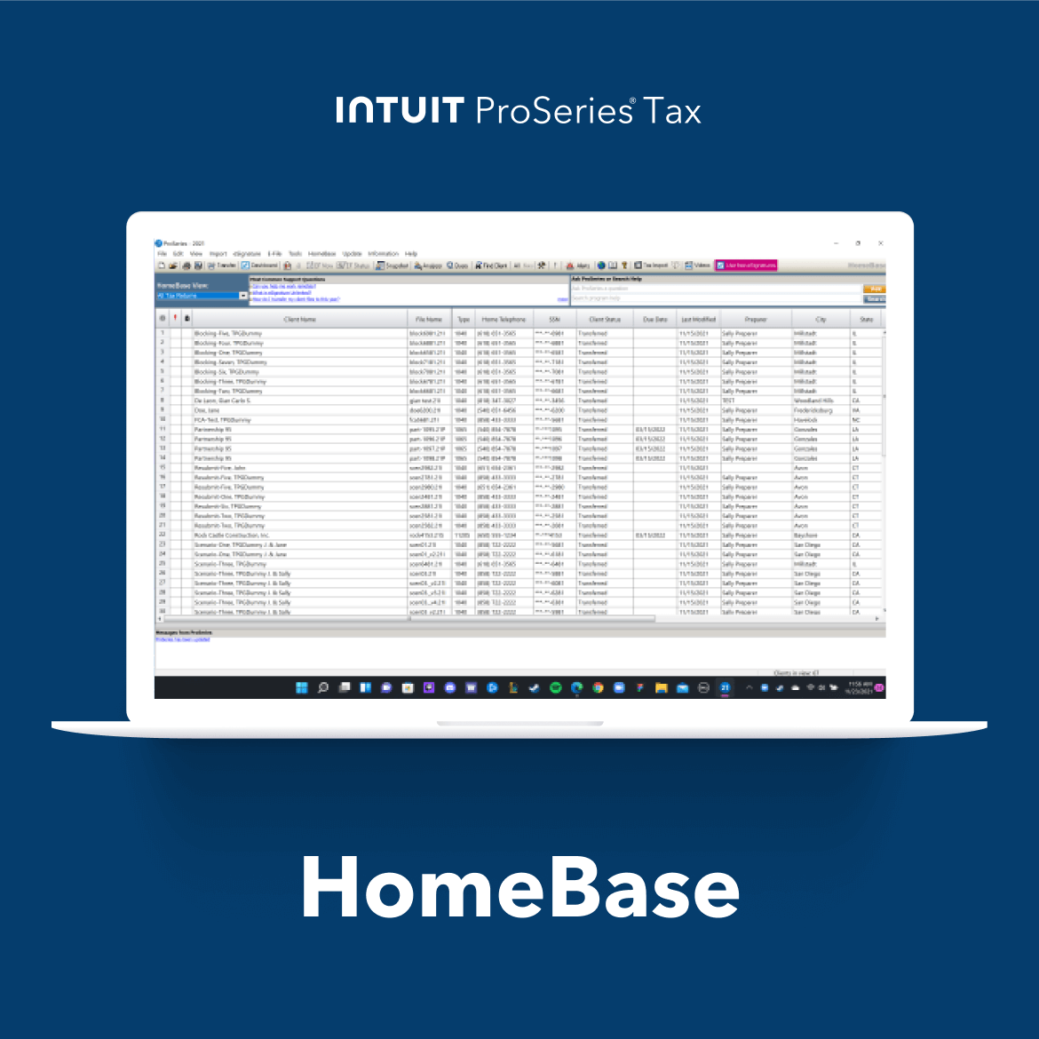 screenshot of ProSeries Tax
